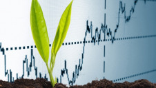 Investment into renewable energy was the most common use of funds